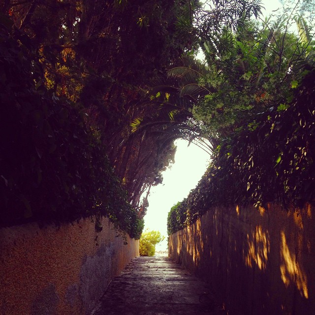 Acceso_playa_barranc_aigues_campello_alicante