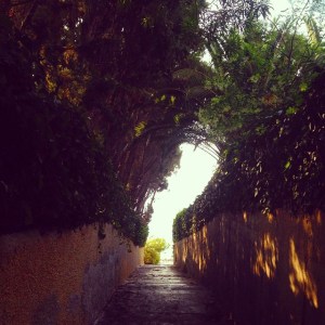Acceso_playa_barranc_aigues_campello_alicante