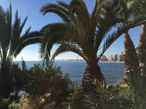 Rincón de la Zofra, El Campello, Alicante