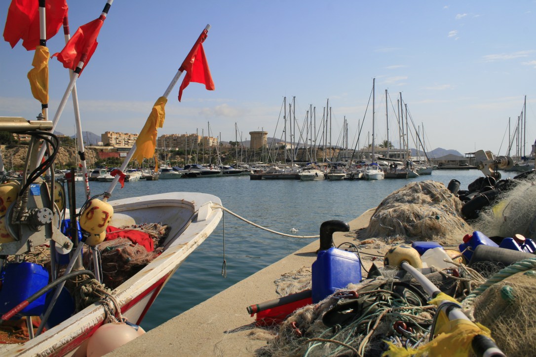 Silvia Mª García García Premio especial jurado El Campello