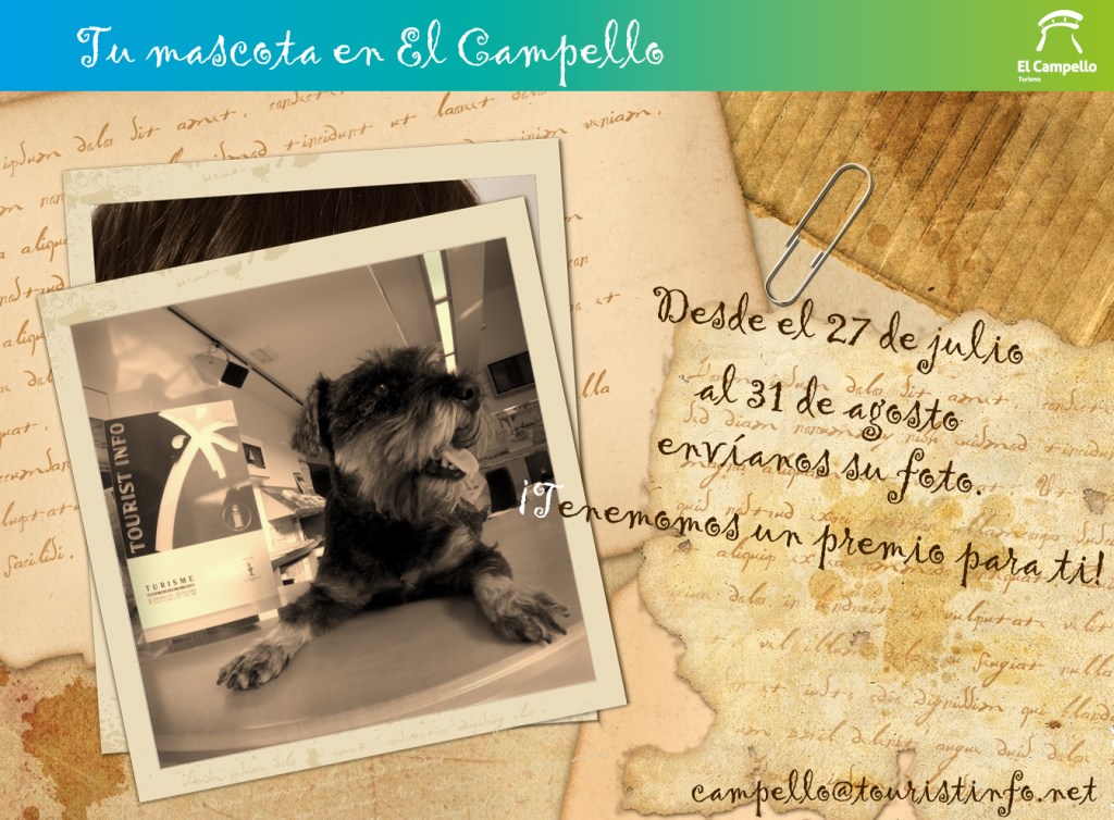 Tu-Mascota-en-el-campello-2015