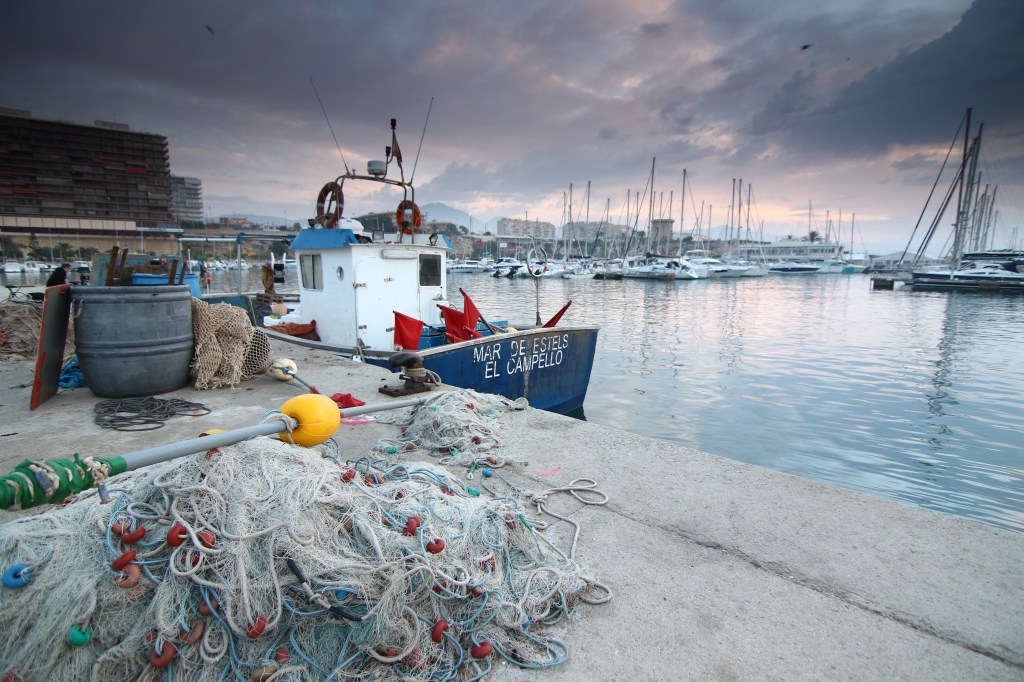 VII Maratón fotos El Campello Premio Especial Jurado - Oscar García