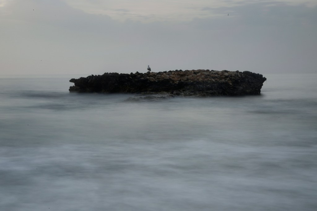 VII Maratón El Campello Premio Especial Jurado - Reyes Cerdá