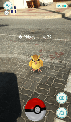 Pokémon Pidgey paseo maritimo El Campello