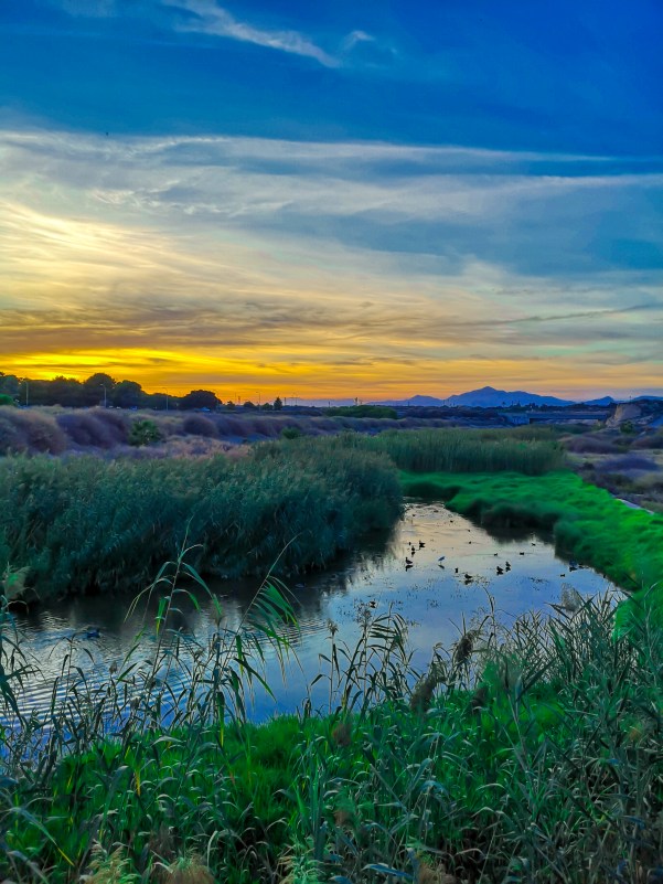 Alfonso Martinez premio facebook concurso fotofgrafia El Campello 2018