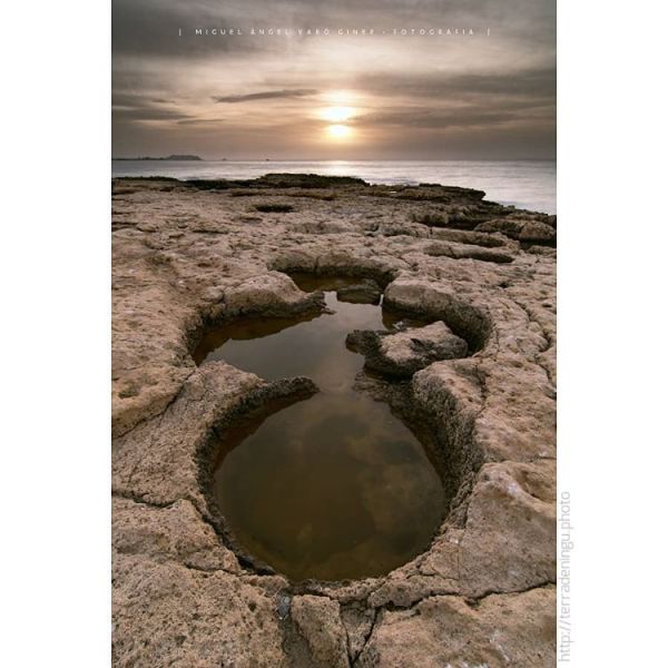 mavarog-ganador-semana2-ElCampello-Instagram