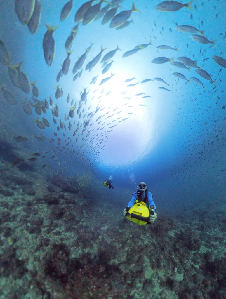 Atlantida Buceo